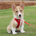 Wholesale Fashion Dog Harness And Leash